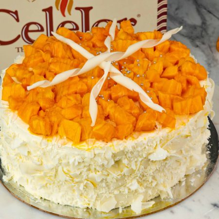 MANGO FOREST CAKE