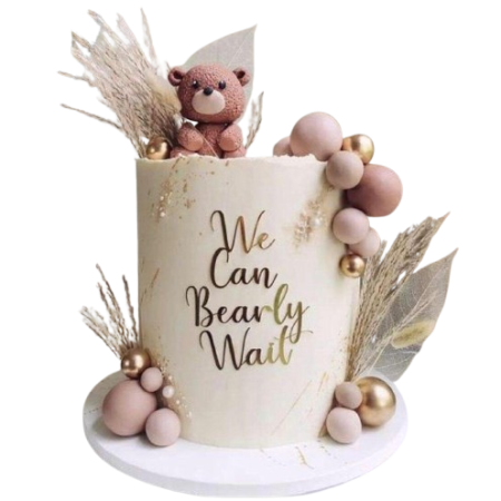 Teddy Bear Cake (CT-5030)